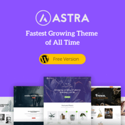 Astra Theme - Theme WordPress đa năng với mẫu website đẹp và tốc độ vượt trội