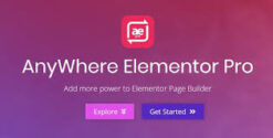 Anywhere Elementor Pro