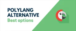 Polylang Pro